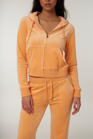 Juicy Couture Classic Velour Robertson Hoodie Narančaste | JC-SN651982