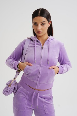 Juicy Couture Classic Velour Robertson Hoodie Ljubičaste | JC-SN652072