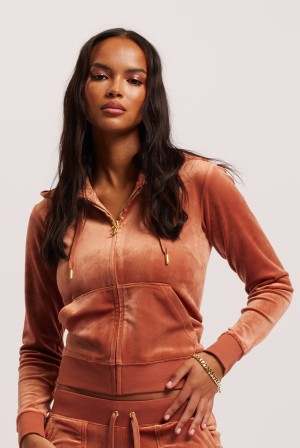 Juicy Couture Classic Velour Robertson Hoodie Bakrene | JC-SN652116