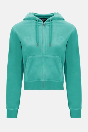 Juicy Couture Classic Velour Robertson Hoodie Plave Zelene | JC-SN652123