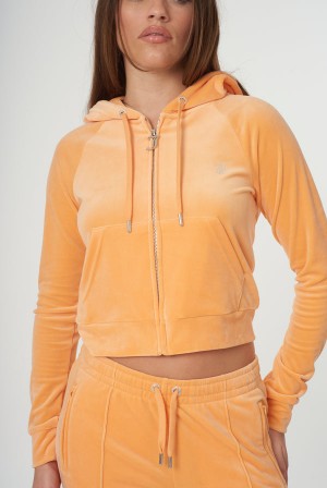 Juicy Couture Diamante Velour Zip-through Hoodie Narančaste | JC-SN651980