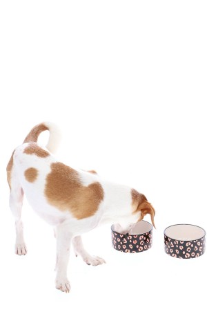 Juicy Couture Pet Set Of 2 Pet Keramičke Bowls Crne | JC-SN652305