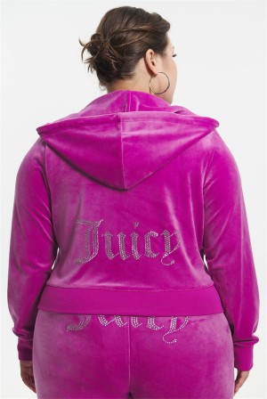 Juicy Couture Plus-size Og Big Bling Velour Hoodie Ljubičaste | JC-SN651574