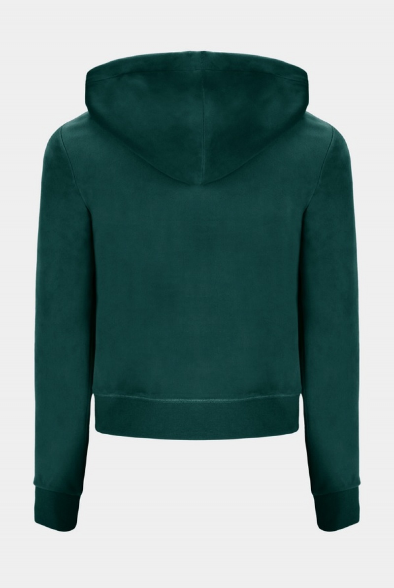 Juicy Couture Classic Velour Robertson Hoodie ;} | JC-SN651965