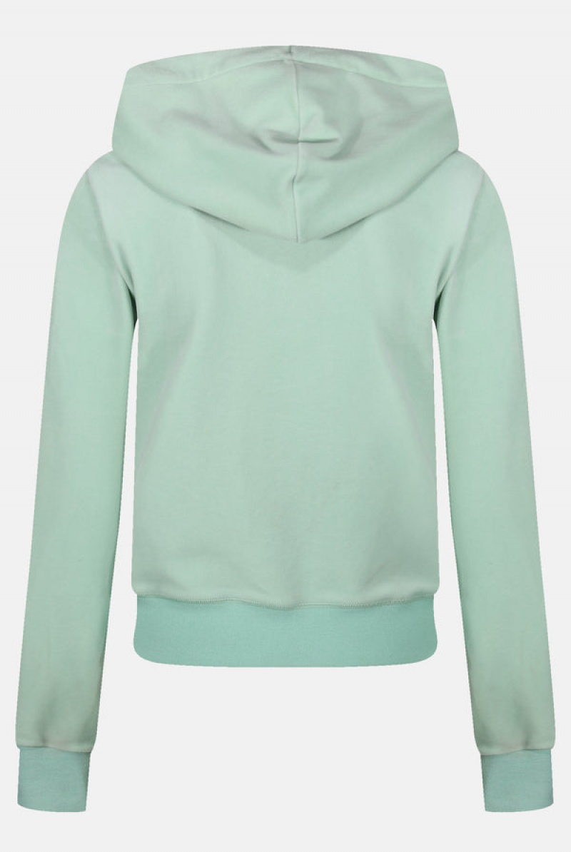 Juicy Couture Classic Velour Robertson Hoodie Zelene | JC-SN652008