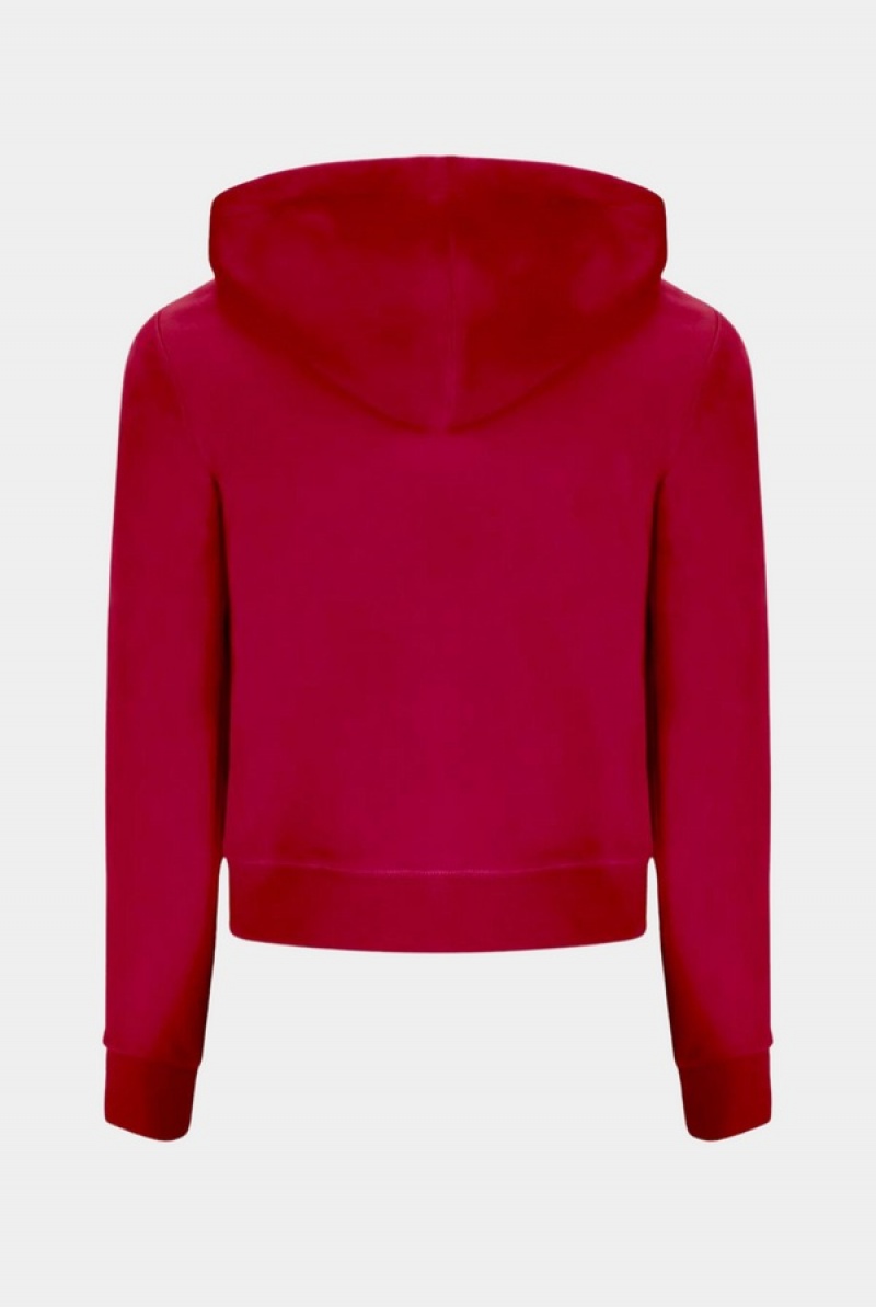 Juicy Couture Classic Velour Robertson Hoodie Roze | JC-SN652050