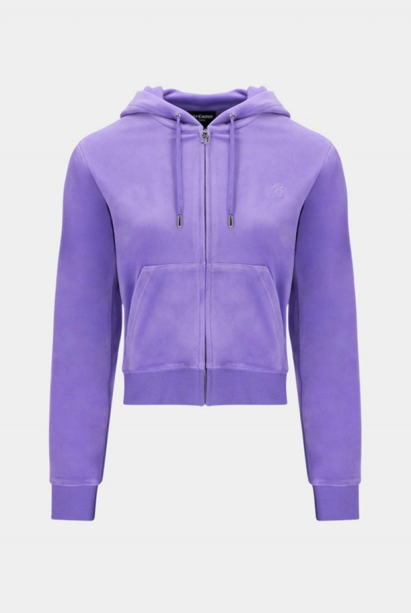 Juicy Couture Classic Velour Robertson Hoodie Ljubičaste | JC-SN652055