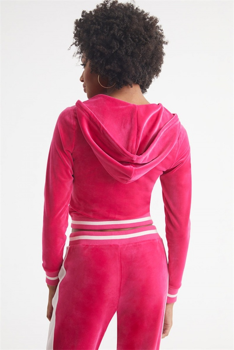 Juicy Couture Contrast Rib Velour Hoodie Roze | JC-SN651547