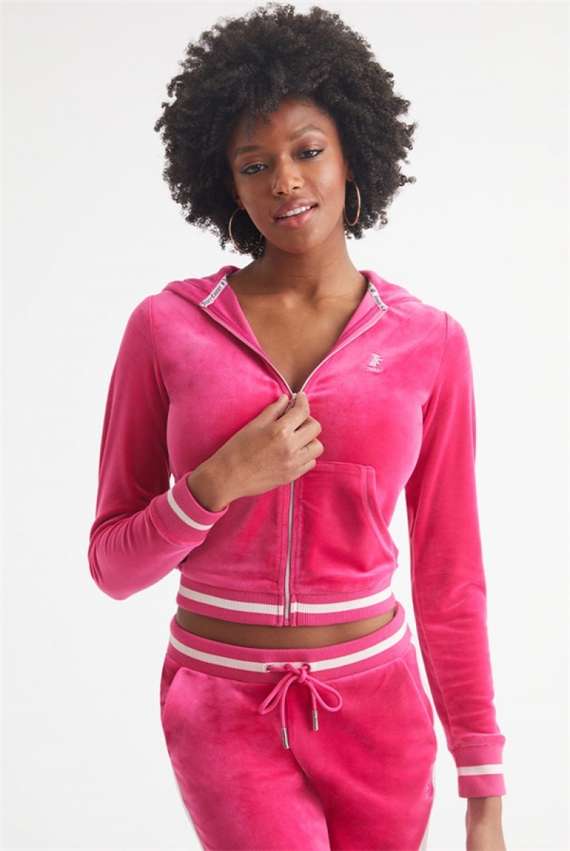 Juicy Couture Contrast Rib Velour Hoodie Roze | JC-SN651547