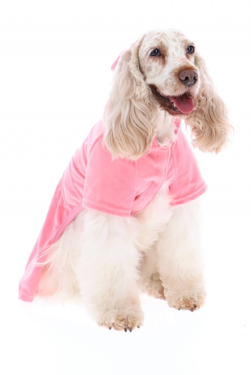 Juicy Couture Pet Velour Tracksuit M/L Roze | JC-SN652310