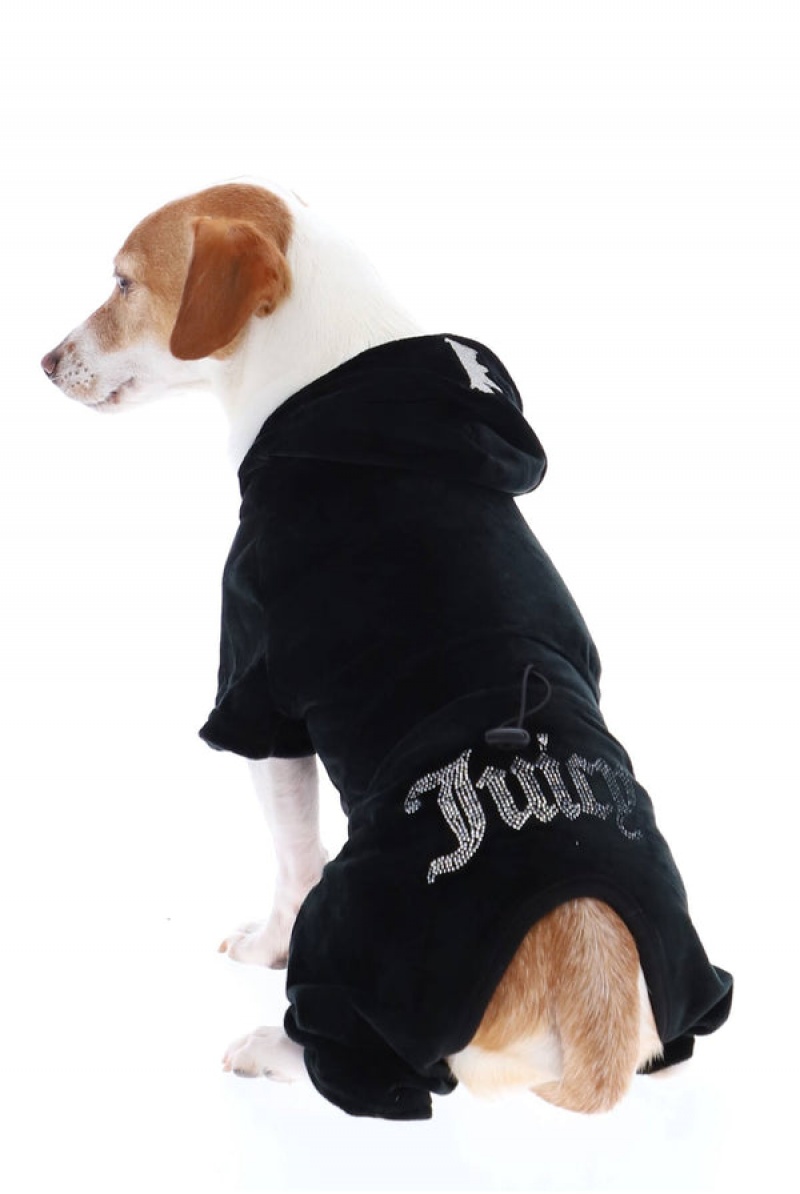 Juicy Couture Pet Velour Tracksuit Xs/S Crne | JC-SN652311