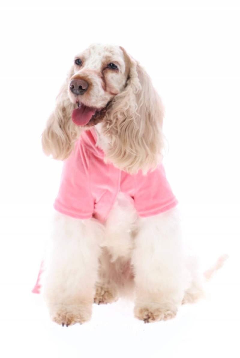 Juicy Couture Pet Velour Tracksuit Xs/S Roze | JC-SN652309