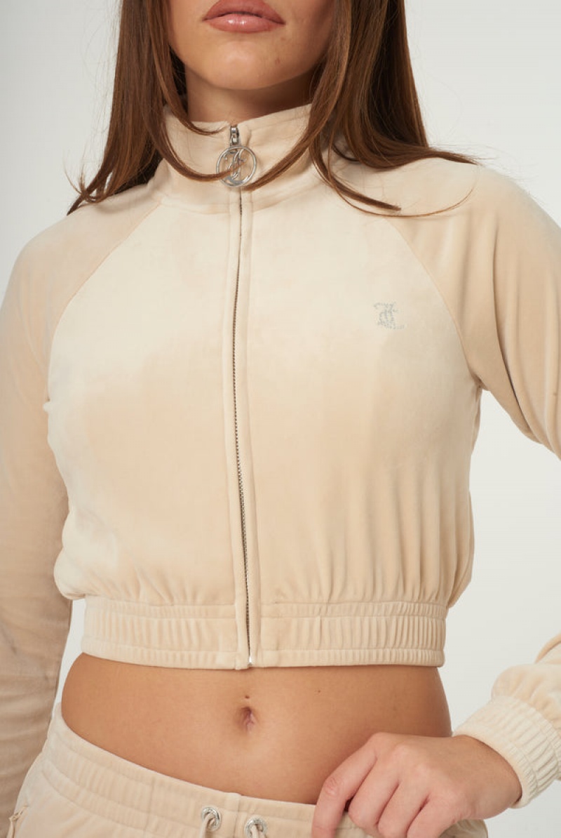 Juicy Couture Velour Diamante Cropped Tracktop Smeđe | JC-SN651995